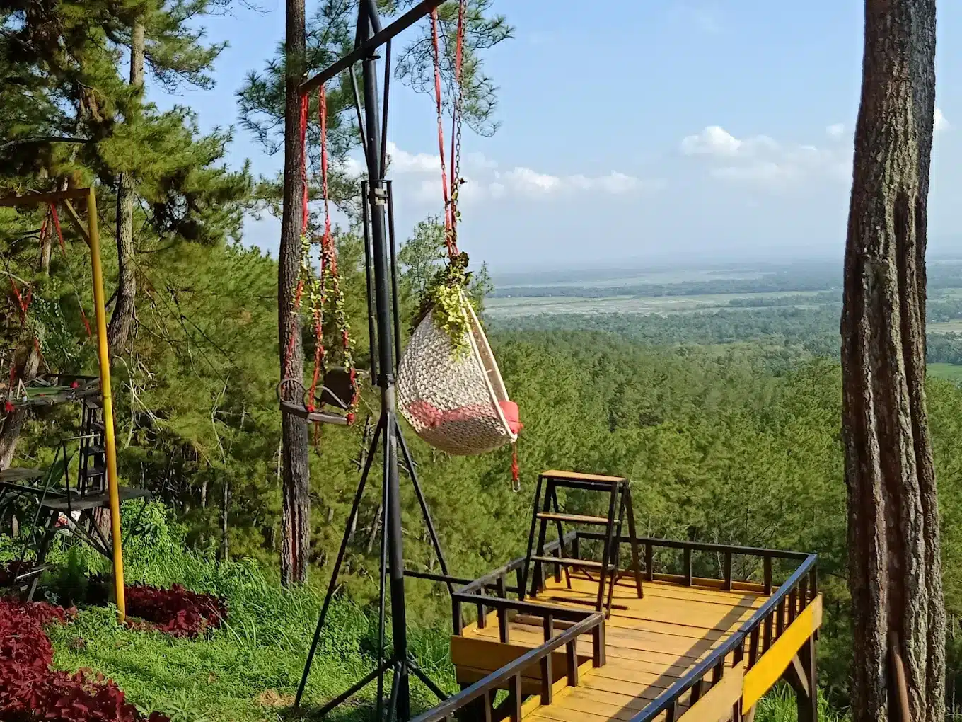 Pagi Cerah di Kawasan Hijau Adipala: Nikmati Liburan Tanpa Antrean