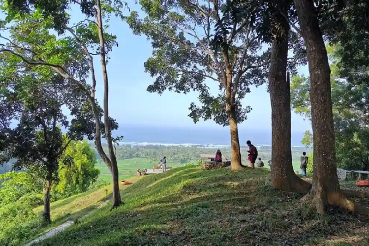 Hijau Bersemi: Pengalaman Wisata yang Menghampiri Adipala